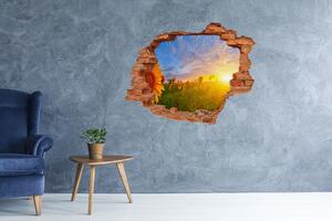 Fototapet 3D gaură în perete câmp de floarea-soarelui