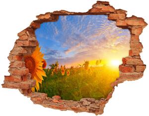 Fototapet 3D gaură în perete câmp de floarea-soarelui