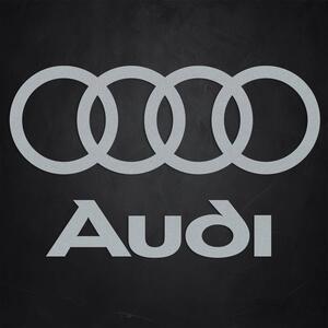 DUBLEZ | Sigla și inscripția din lemn pentru perete - Audi