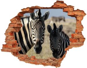 Autocolant de perete gaură 3D două zebre