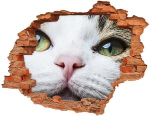 Fototapet un zid spart cu priveliște ochi de pisica lui Green