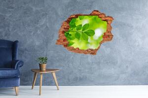 Autocolant de perete gaură 3D Frunze verzi