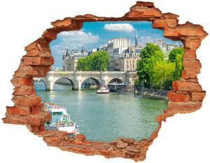 Autocolant de perete gaură 3D Seine din Paris
