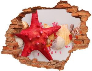 Autocolant 3D gaura cu priveliște Starfish și scoici