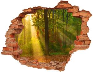 Fototapet un zid spart cu priveliște Pădurea în soare