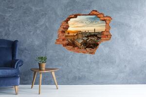 Fototapet 3D gaură în perete Sunrise Lions