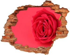 Autocolant autoadeziv gaură Trandafir roșu