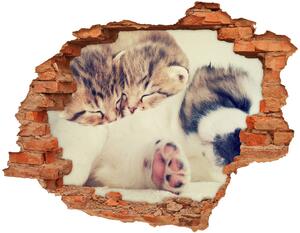 Autocolant de perete gaură 3D Două pisici și un câine