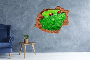 Autocolant 3D gaura cu priveliște Buburuzele pe iarbă