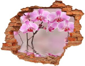 Autocolant 3D gaura cu priveliște Orhidee roz