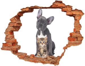 Fototapet un zid spart cu priveliște Câine și pisică