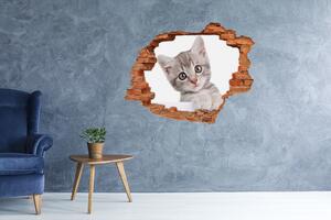 Autocolant 3D gaura cu priveliște pisică gri