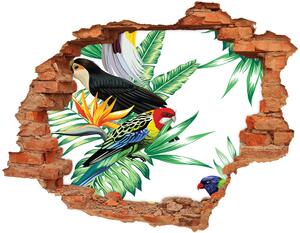 Autocolant gaură 3D păsări tropicale
