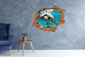 Autocolant 3D gaura cu priveliște Broască țestoasă