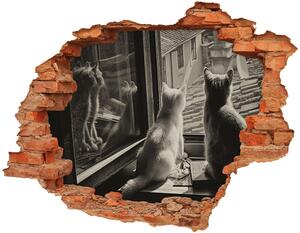 Fototapet 3D gaură în perete Pisici de la fereastra