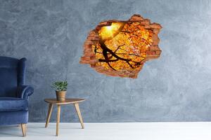 Fototapet 3D gaură în perete Coroana de copaci de toamnă