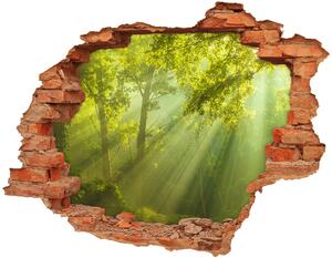 Fototapet un zid spart cu priveliște Pădurea în soare