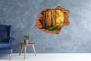 Autocolant gaură 3D pădure în toamna
