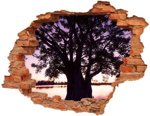 Autocolant de perete gaură 3D Copac și Lacul