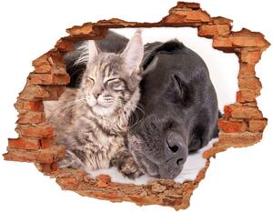 Autocolant un zid spart cu priveliște Pisici si caini