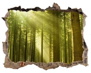 Fototapet un zid spart cu priveliște O pădure de pini