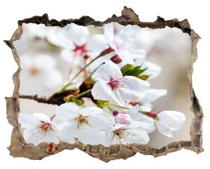 Autocolant autoadeziv gaură Flori de cireș