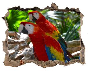 Autocolant autoadeziv gaură Papagali macaws