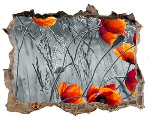 Fototapet 3D gaură în perete Wildflowers maci
