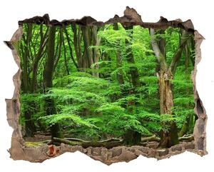 Fototapet 3D gaură în perete Pădure olandeză