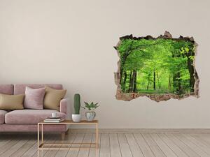 Autocolant de perete gaură 3D Pădure de primăvară