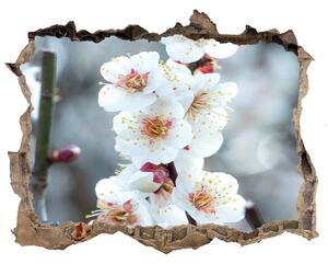 Autocolant un zid spart cu priveliște Flori de cireș