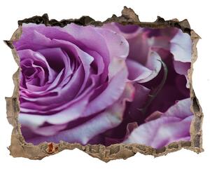 Autocolant 3D gaura cu priveliște Trandafiri mov
