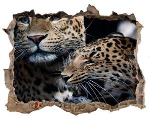 Fototapet 3D gaură în perete Doi leoparzi