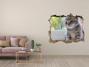 Fototapet 3D gaură în perete Pisica mica la fereastra