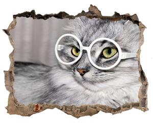 Autocolant 3D gaura cu priveliște Cat cu ochelari