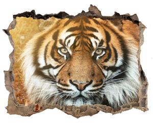 Autocolant autoadeziv gaură Tigru bengalez