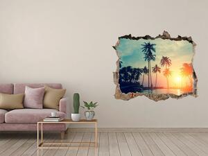 Autocolant de perete gaură 3D Apus de soare de palmier