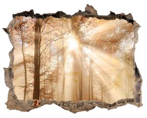Autocolant autoadeziv gaură Ceață în toamna anului pădure