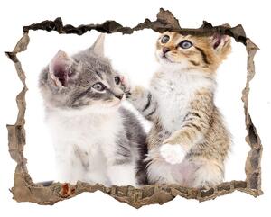Fototapet 3D gaură în perete Două pisici de talie mică