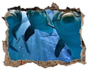Fototapet 3D gaură în perete Trei delfini