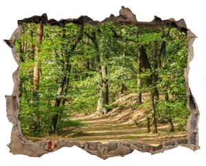 Autocolant gaură 3D Drum forestier