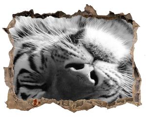 Autocolant un zid spart cu priveliște Dormit tigru