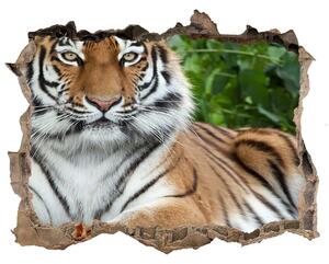 Autocolant gaură 3D Tigru siberian