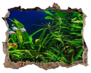 Autocolant gaură 3D Pește într-un acvariu