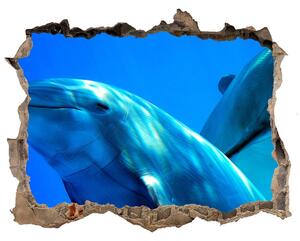 Autocolant 3D gaura cu priveliște Doi delfini