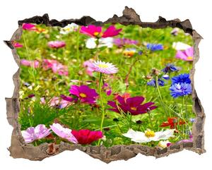 Autocolant gaură 3D Flori de câmp