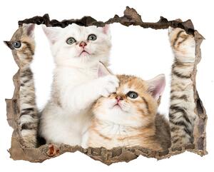 Fototapet un zid spart cu priveliște Autocolant pisici de talie mică