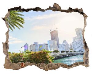 Fototapet 3D gaură în perete Miami statele unite ale americii
