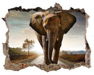 Autocolant 3D gaura cu priveliște Elefant de mers pe jos