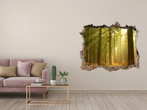 Autocolant de perete gaură 3D Pădurea în soare
